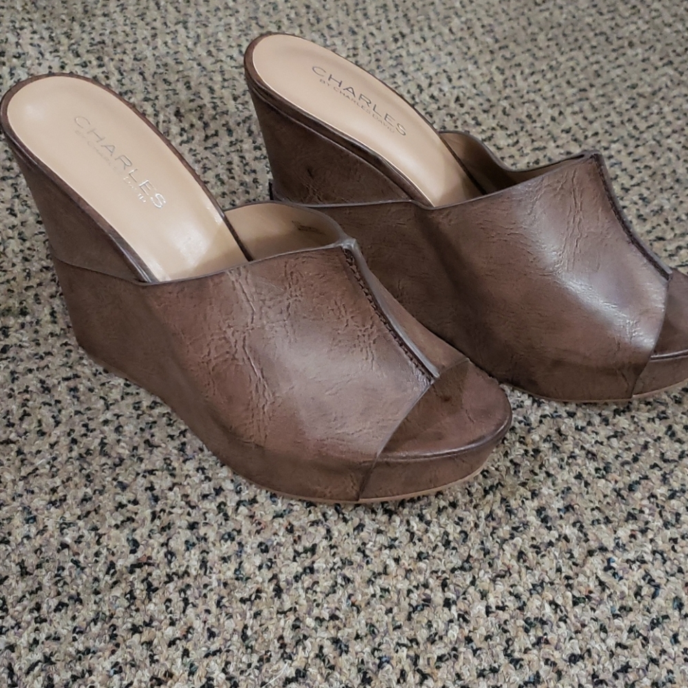 Charles David Wedge sandals